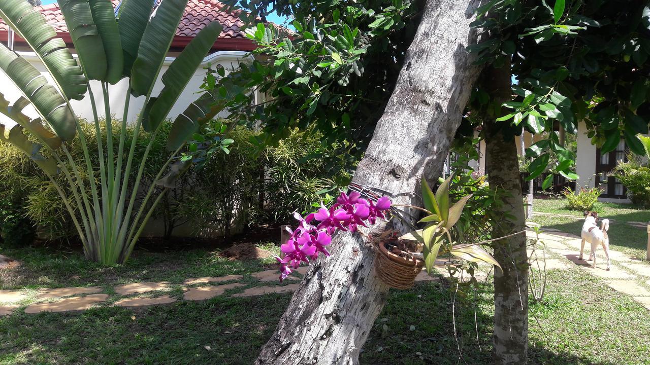 Lanka Beach Grand Villa Rekawa Екстериор снимка